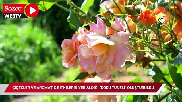 Edirne'de çiçekler ve aromatik bitkilerin yer aldığı Koku Tüneli oluşturuldu