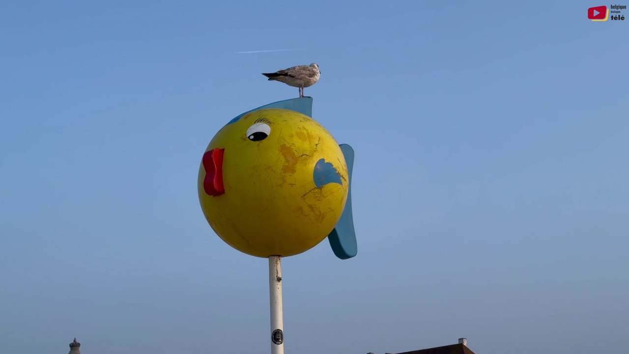 0ostende | Strand / Plage Pentecôte soir | Belgique Bretagne Télé