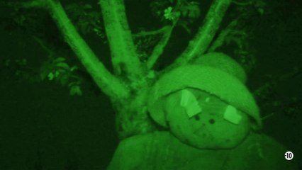 Bande annonce n°07 - Version remasterisée