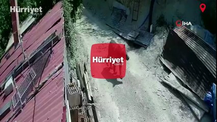Yiyecek bulamayan ayılar mahalle ve köylere inmeye başladı