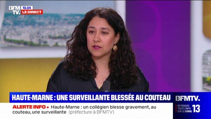 Haute-Marne: un collégien blesse gravement une assistante d'éducation, la victime de 31 ans est en urgence absolue