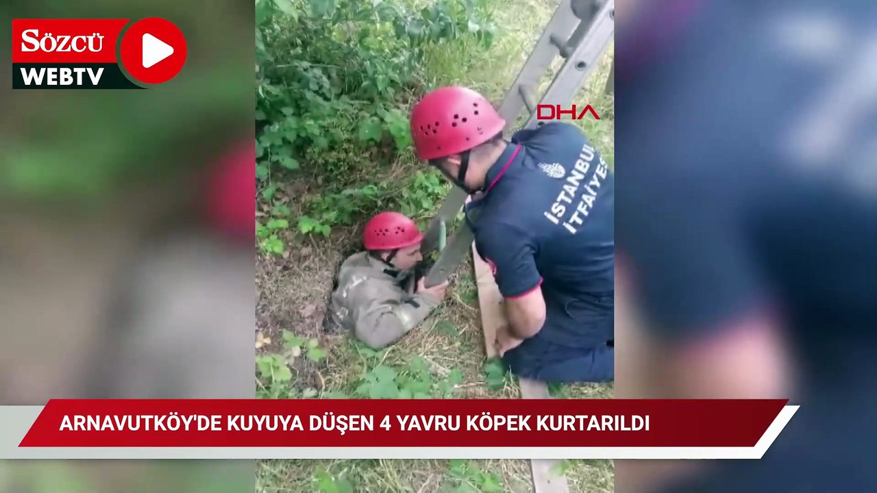 Arnavutköy'de kuyuya düşen 4 yavru köpek kurtarıldı