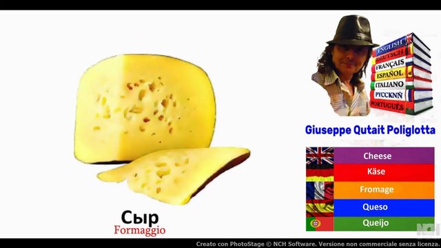 Visual Dict with Audio сыр, чайка, Гардендия, гвоздика