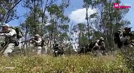 Sedena Leaks: Nadie vio nada