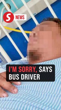 Gerik bus crash: 'I'm sorry, the brakes stopped working' says driver