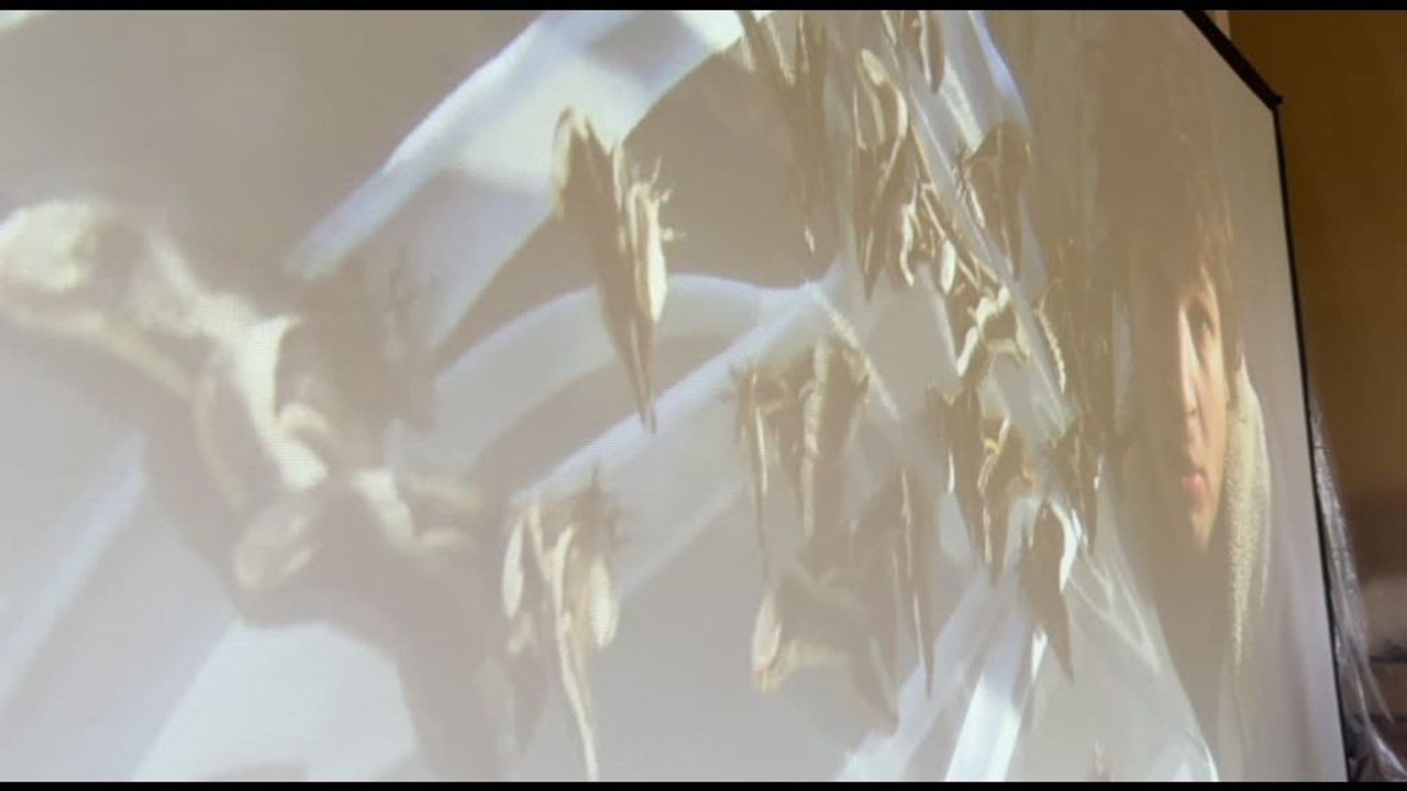 Palazzo Bentivoglio: il mito di Icaro rivive al tramonto