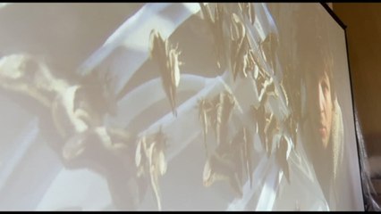 Palazzo Bentivoglio: il mito di Icaro rivive al tramonto