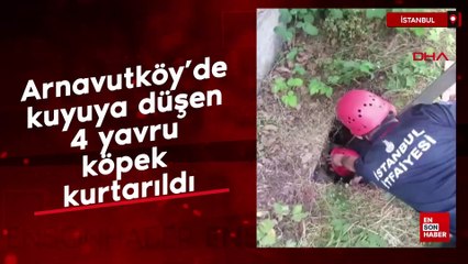 Arnavutköy'de kuyuya düşen 4 yavru köpek kurtarıldı