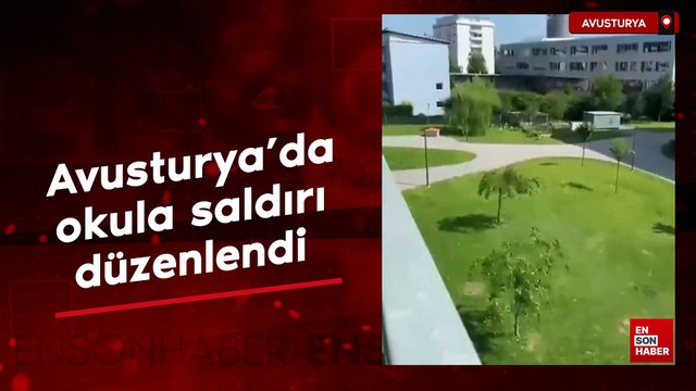 Avusturya'da okula saldırı düzenlendi