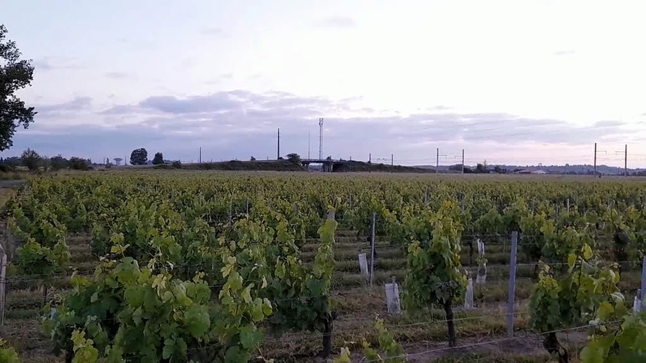Passage du train du Conservatoire Ferroviaire Territoires Limousin-Périgord à Lalande de Pomerol le 2 juin 2024 à 21H43