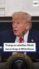 Trump on whether Musk was on drugs at White House