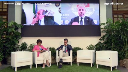 Italia-Europa: il ruolo del Paese nelle politiche agricole