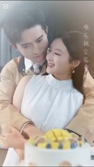 Farewell To Your Happiness - 100 Pains For My Baby