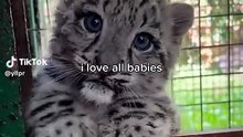 Cutie