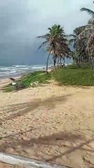 Moradores de Mata de São João denunciam demolição de barraca de praia