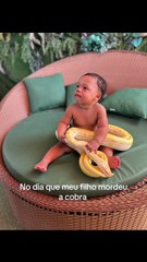 Bebê quase morte cobra durante foto com os pais em pousada ecológica