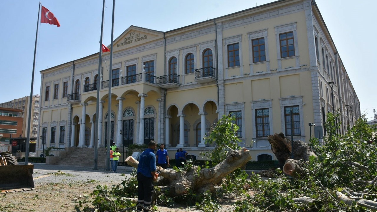 İzmir Valiliği önündeki asırlık çınar devrildi; o anlar kamerada