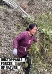 Nature's Unstoppable Fury..hd