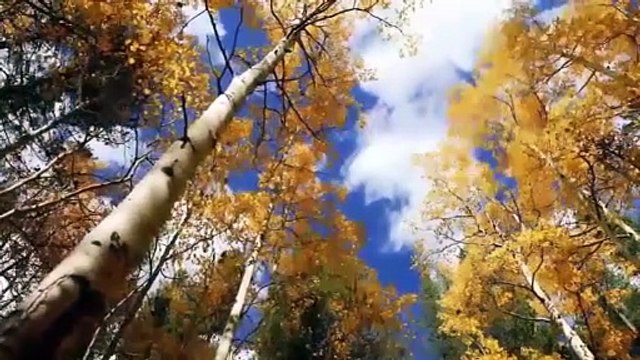 Música de Meditación para Relajar Mente y Cuerpo - Energía Positiva