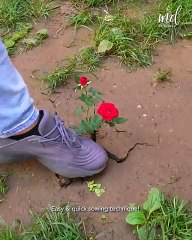 Making work in the garden easier for you!💯⚒️