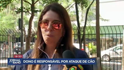 Donos são responsáveis por ataques de animais de estimação