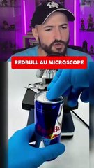 DU REDBULL AU MICROSCOPE ?