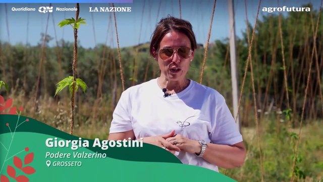 Giovani agricoltori: uno sguardo sulla nuova imprenditoria agricola
