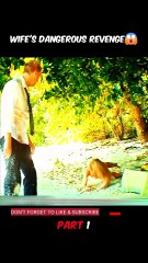 shorts movie explanation पत्नी का खतरनाक बदला Wife's dangerous revenge