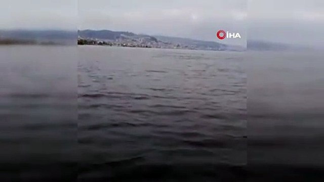 Marmara’da neşeli sürpriz! Unutulmaz anlar yaşandı