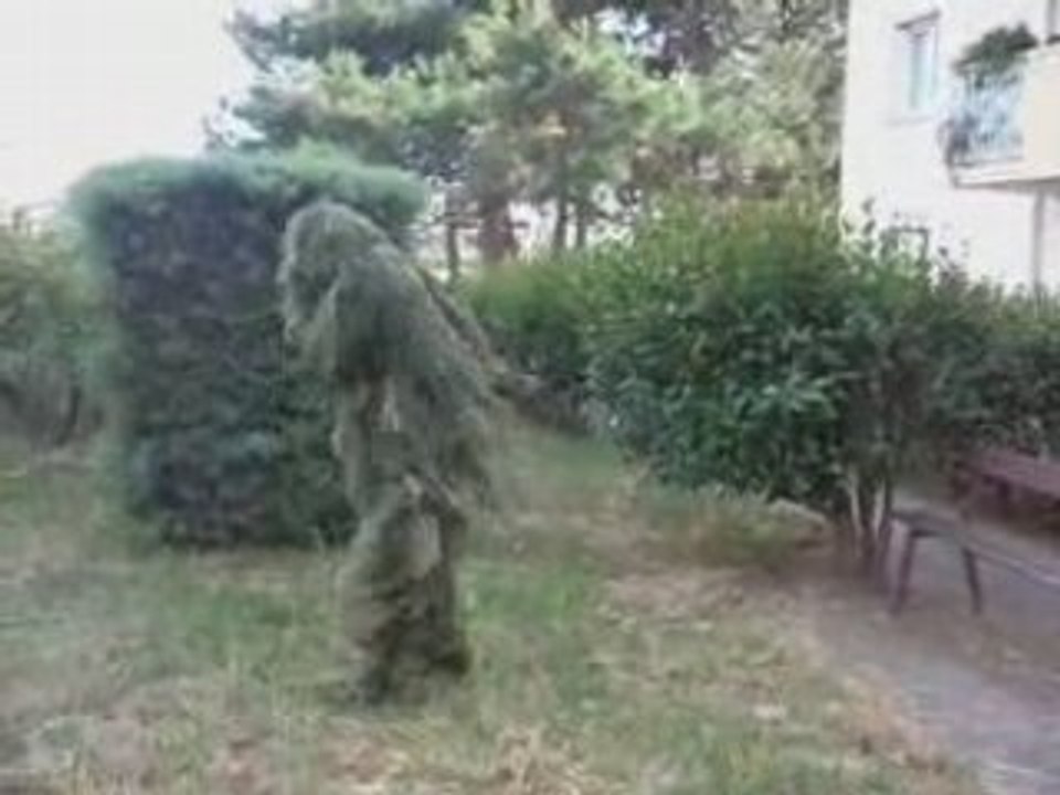 La danse du buisson