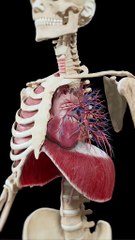 What if a man drank tumeric and black pepper #health