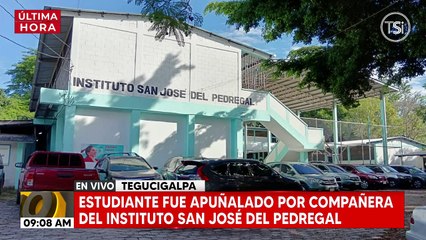 Estudiante de instituto de Tegucigalpa apuñaló a compañero por llamarla "gorda"