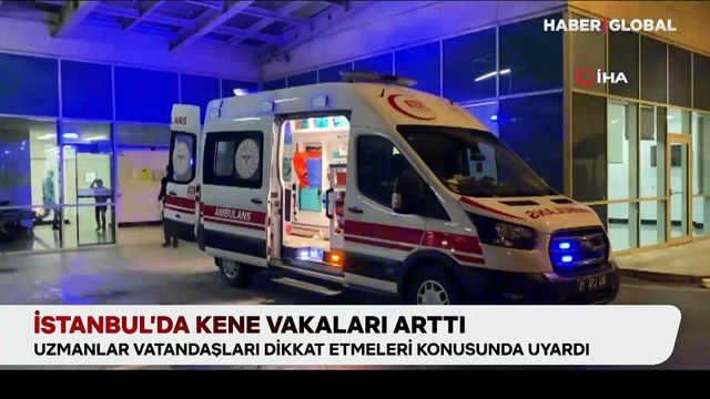 İstanbul'da kene vakaları arttı: Uzmanlar vatandaşları dikkat etmeleri konusunda uyardı