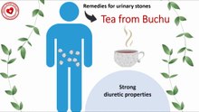 Tea from Buchu - a remedy for urinary stones