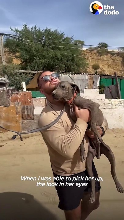 🏚️ “Gargoyle” Dog Survives 8 Years Alone — Watch Her Run For The First Time 🐾😭❤️