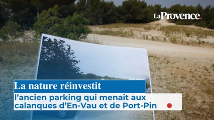 La nature réinvestit l’ancien parking qui menait aux calanques d’En-Vau et de Port-Pin