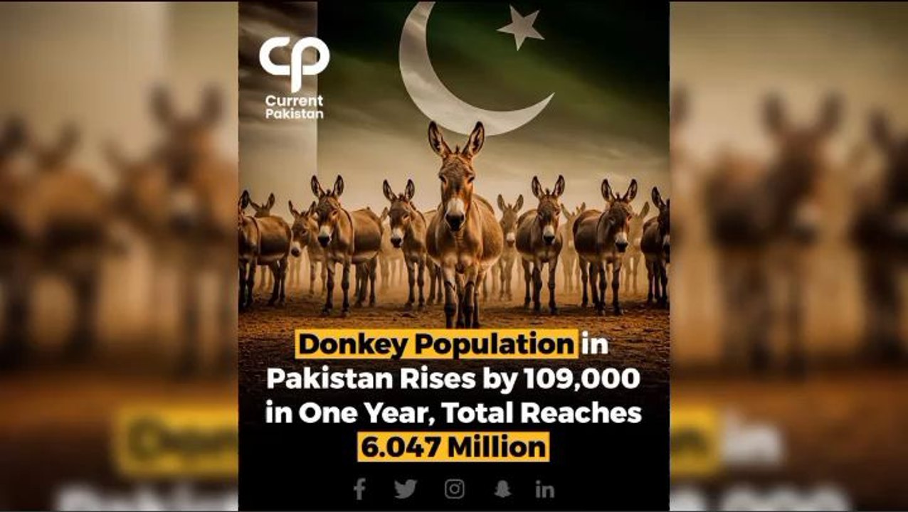 Pakistan population