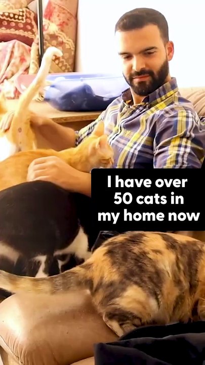 🏠 This Guy Rescues a Cat Every Time He Leaves Home — So He Rented Them Their Own Apartment 🐱💙