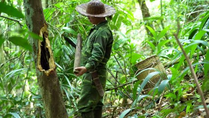 EP.470-Chuva forte no rio, comida selvagem, culinária