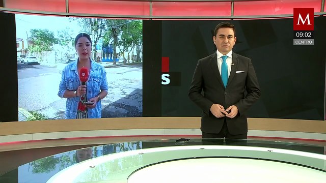 Elementos del ejército mexicano destruyen plantas de marihuana en Michoacán