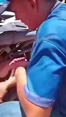 Graban cuando mujer sufre accidente en moto