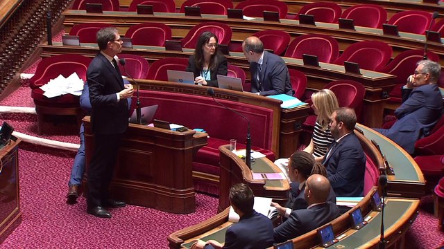 Le Sénat adopte une proposition de loi pour encadrer le sport professionnel