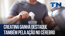 Creatina ganha destaque também pela ação no cérebro