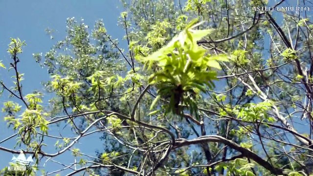 Nebrodi Tour: Castell'Umberto puntata 2