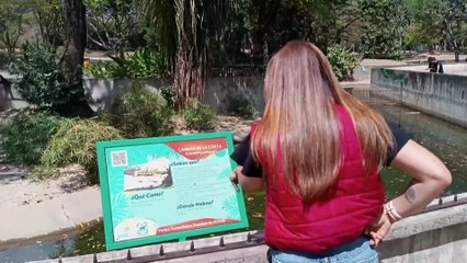 6 - Comerciales + Programa 360 - Trecho 1-  23.01.2025