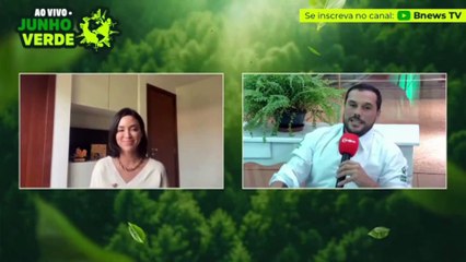 Junho Verde: Startup baiana Bee2Be aposta em abelhas para impulsionar renda e conservação ambiental
