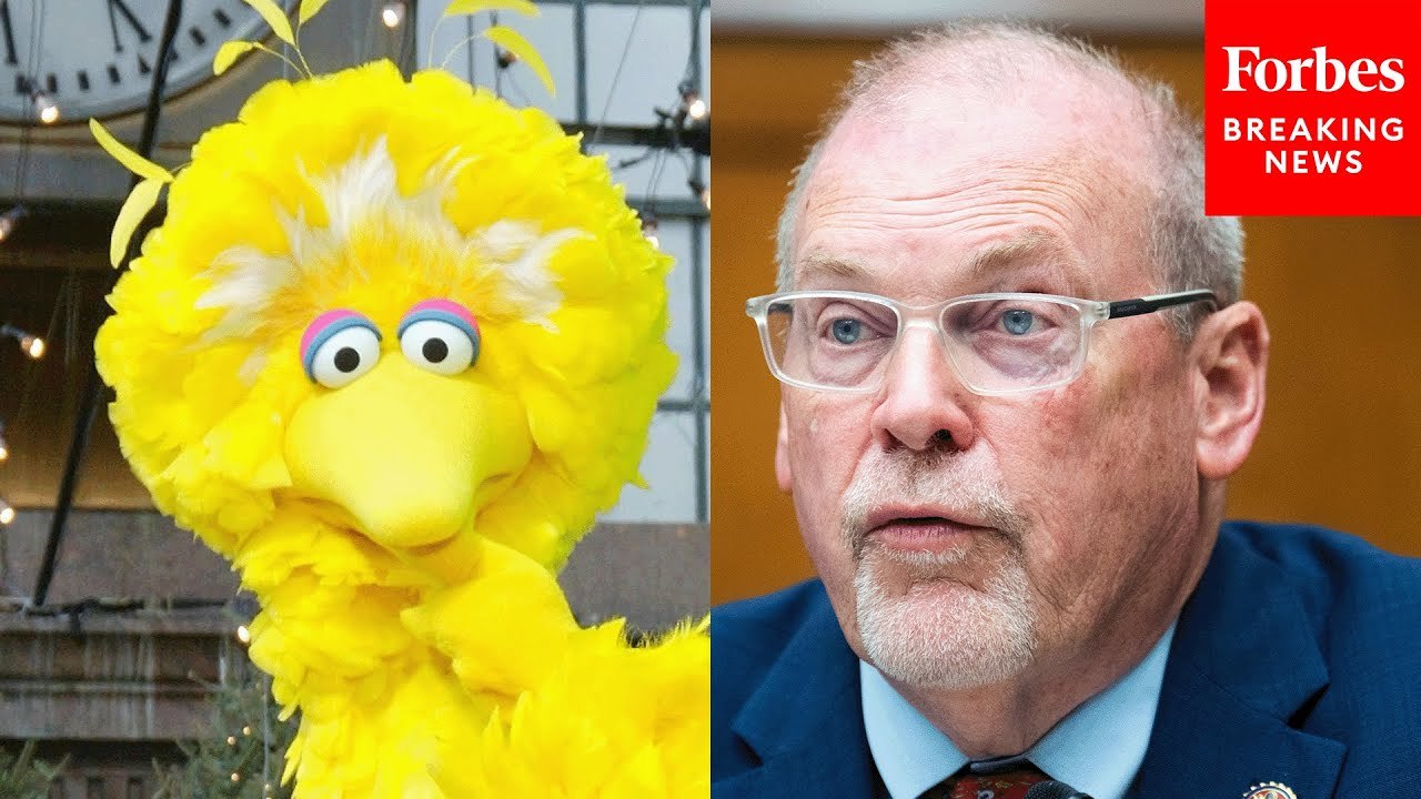 'Big Bird Might Make More Money Being Set Free': Morgan Griffith Defends PBS Cuts In Rescissions