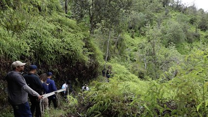 Reserva Ébano Verde: de la tala ilegal al orgullo por su conservación