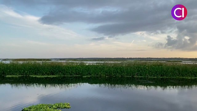 Descubre el Lago Apopka: Conservación y Esperanza en Florida