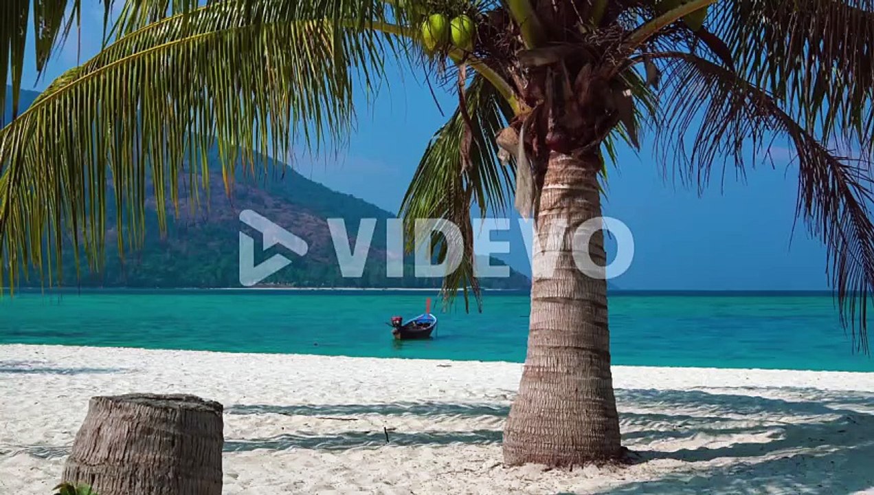 A beautiful 4K UHD Cinemagraph of a tropic seaside beach at Perhentian Island, Malaysia with a huge palm tree and a traditional long tail boat